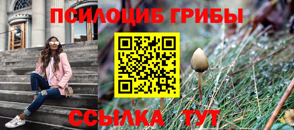 Курчатов  Псилоцибиновые грибы Magic Shrooms  купить закладку  Вход с VPN  Галлюциногенные грибы прущие грибы 